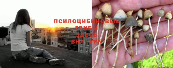 2c-b Белоозёрский