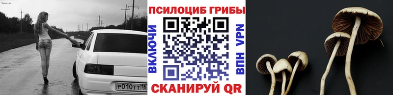 кракен ONION  где купить наркотик  Буйнакск  Галлюциногенные грибы ЛСД 