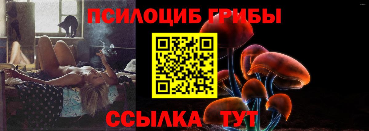 Буйнакск  Галлюциногенные грибы мицелий  Вход с VPN 