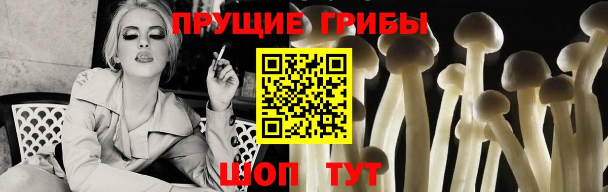 Галлюциногенные грибы ЛСД Буйнакск