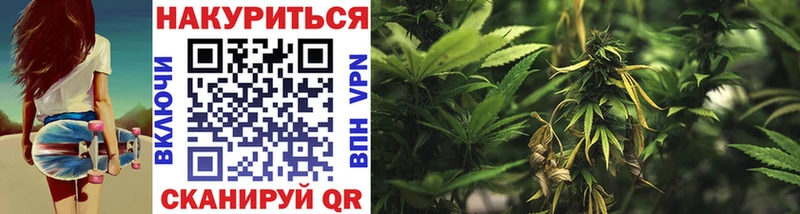 Шишки марихуана VHQ  магазин продажи наркотиков  Буйнакск 